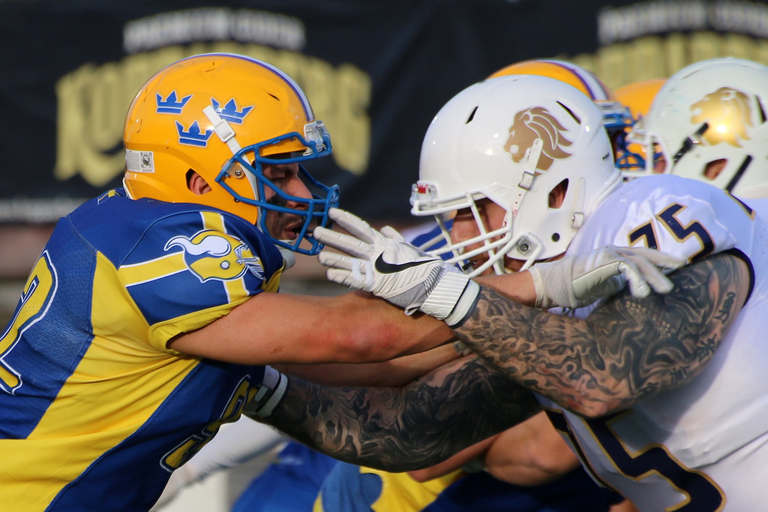 Högdramatiskt EM-kval i Kristianstad