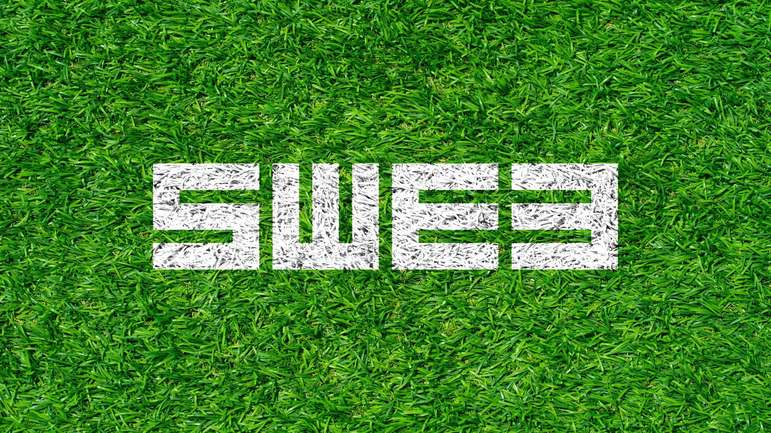 Inställd Division 1 Herr-final